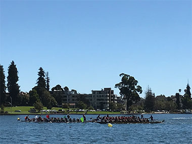 Races at the dragon boat festival at Lake Merritt, Oakland, California